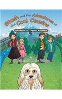 Stash and the Adventures of the Coal Cousins: Adventure of Crystal Mountain