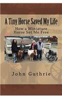 A Tiny Horse Saved My Life
