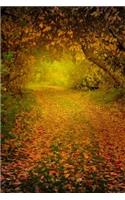 Mind Blowing Autumn Path 200 page lined journal: 200 page lined journal