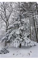 Snowstorm Trees Winter Weather Journal: (Notebook, Diary, Blank Book)