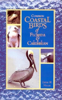 Common Coastal Birds of Florida and the Caribbean