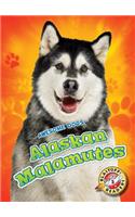 Alaskan Malamutes
