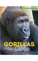 Gorillas Up Close