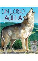 Un Lobo Aúlla (One Wolf Howls in Spanish)