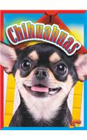 Chihuahuas