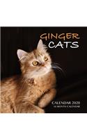 Ginger Cats Calendar 2020