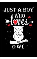 Just a Boy Who Loves Owl: Gift for Owl Lovers, Owl Lovers Journal / Notebook / Diary / Thanksgiving / Christmas & Birthday Gift