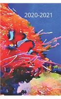 Orange & Black Clown Tropical Fish Lover's Dated Weekly 2 year Calendar Planner