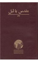 Urdu Bible-FL-Easy-To-Read