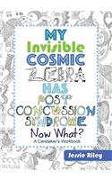 My Invisible Cosmic Zebra Has Post Concussion Syndrome - Now What?
