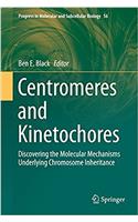 Centromeres and Kinetochores