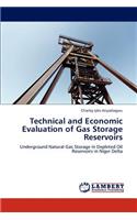 Technical and Economic Evaluation of Gas Storage Reservoirs