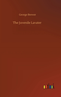 The Juvenile Lavater