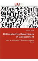 H�t�rog�n�it�s Dynamiques Et Vieillissement