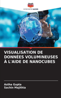 Visualisation de Données Volumineuses À l'Aide de Nanocubes