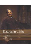 Essays in Little