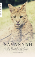 Savannah