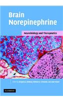 Brain Norepinephrine