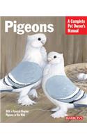 Pigeons