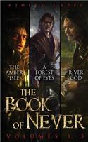 The Book of Never