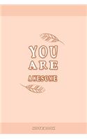 You Are Awesome
