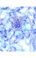 Y