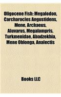 Oligocene Fish: Megalodon(English)