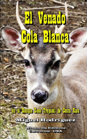 Venado Cola Blanca