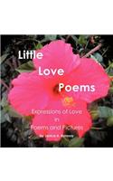Little Love Poems