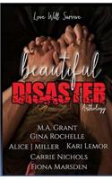 Beautiful Disaster Anthology