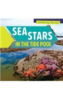 Sea Stars in the Tide Pool