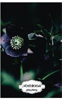 Notebook Journal Dot-grid, Graph, Lined, Blank No Lined - Black Flowers: Small Pocket Notebook Journal Diary