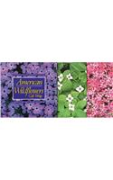 American Wildflowers Gift Wrap