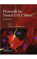 Protocols for Neural Cell Culture