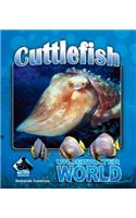 Cuttlefish