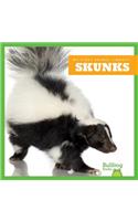 Skunks