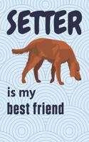 Setter is my best friend: For Setter Dog Fans