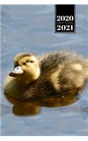 Duck Geese Goose Mallard Duckling Week Planner Weekly Organizer Calendar 2020 / 2021 - Sweet Look
