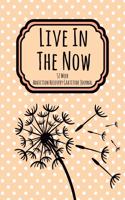 Live In The Now With Dandelion