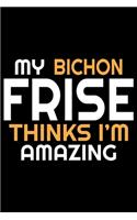 My Bichon Frise Thinks I'm Amazing