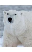 Polar Bear Notebook Large Size 8.5 x 11 Ruled 150 Pages Softcover