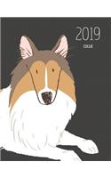 2019 Collie: Dated Weekly Planner with to Do Notes & Dog Quotes - Collie Brown White(28 Awesome Calendar Planners for Dog Owners Dark)