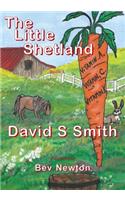 Little Shetland; Book 1