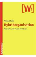 Hybridorganisation: Netzwerke Und Virtuelle Strukturen