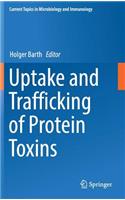 Uptake and Trafficking of Protein Toxins