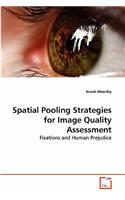Spatial Pooling Strategies for Image Quality Assessment