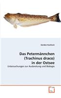 Das Petermännchen (Trachinus draco) in der ?Ostsee