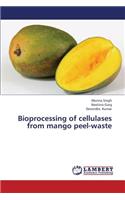Bioprocessing of Cellulases from Mango Peel-Waste