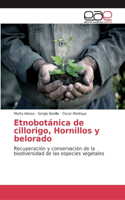 Etnobotánica de cillorigo, Hornillos y belorado