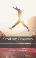 Stori am Brwydro: llyfr cymraeg welsh books